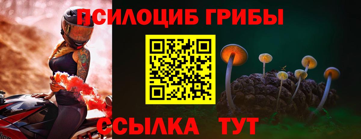 Галлюциногенные грибы ЛСД  Галлюциногенные грибы прущие грибы  Вход с VPN  купить наркотики сайты  Асбест 